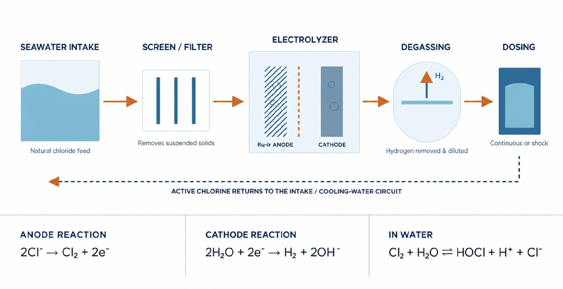 1792242915168573.jpg seawater-electrochlorination-process-complete-v3.jpg